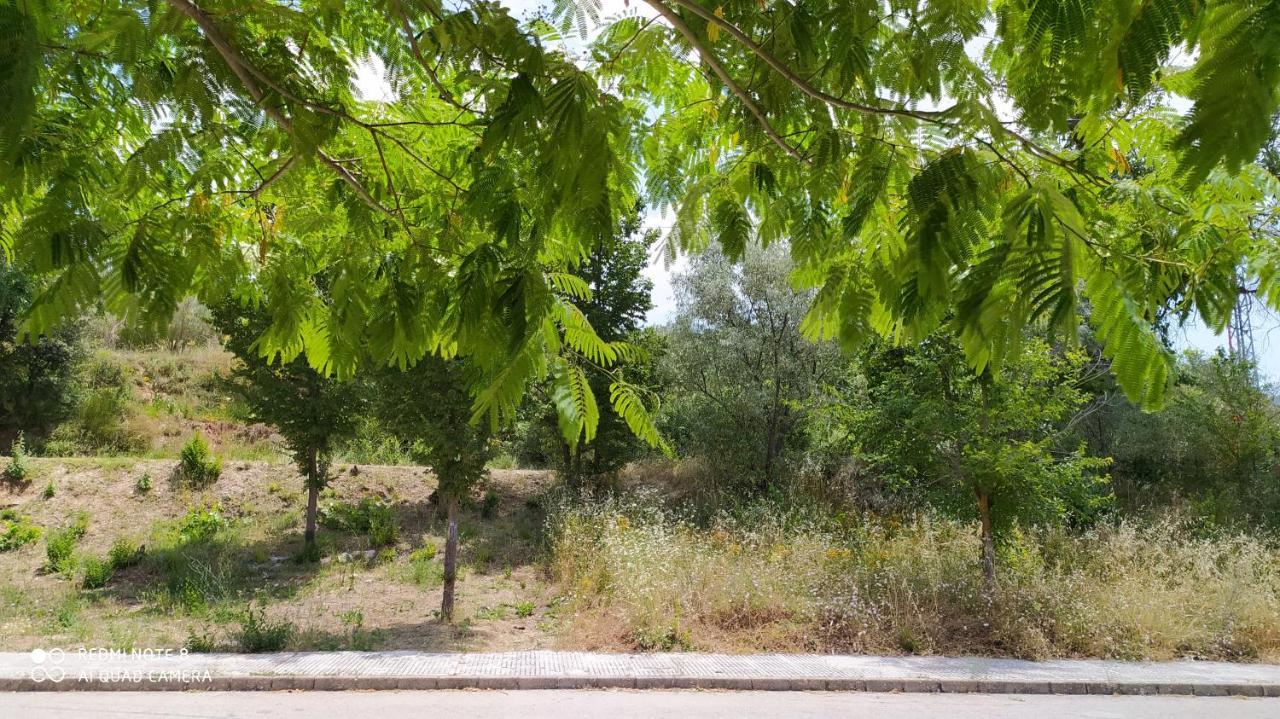 Casa Rural El Cerrete 2 Riópar Eksteriør bilde